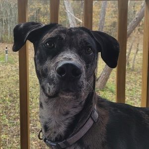 Meet your Posher, Edin